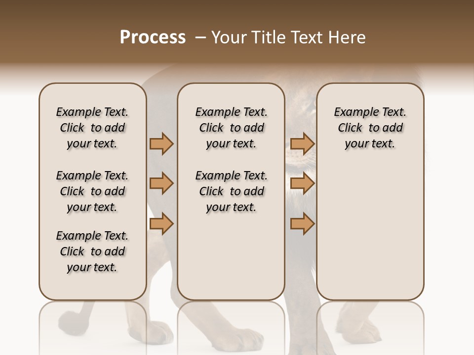 Animal Indoors One Animal PowerPoint Template