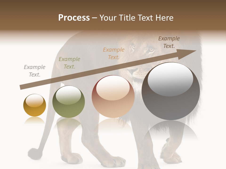 Animal Indoors One Animal PowerPoint Template