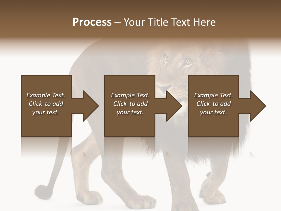 Animal Indoors One Animal PowerPoint Template
