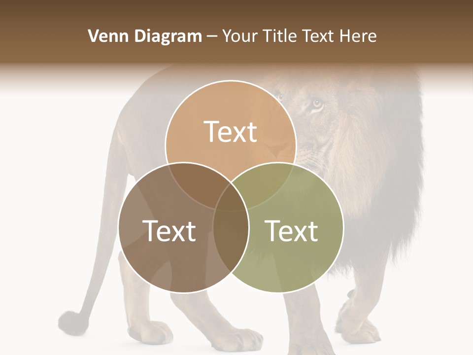 Animal Indoors One Animal PowerPoint Template
