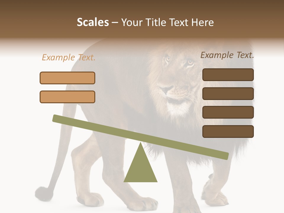 Animal Indoors One Animal PowerPoint Template