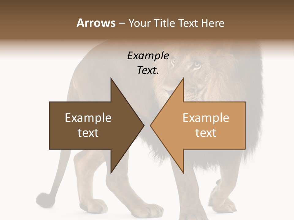 Animal Indoors One Animal PowerPoint Template