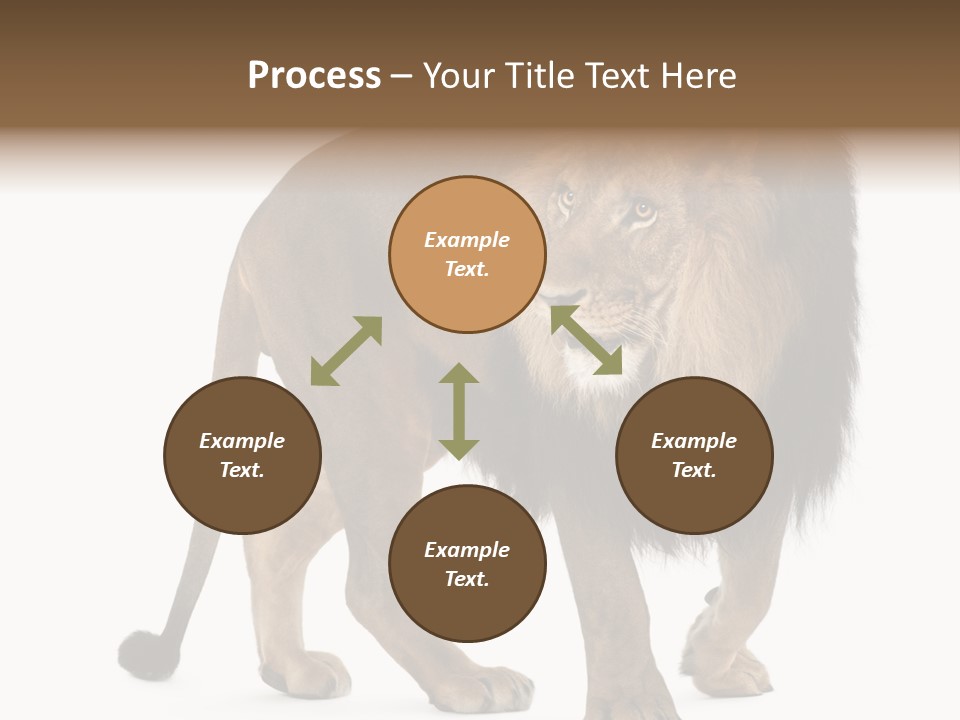Animal Indoors One Animal PowerPoint Template