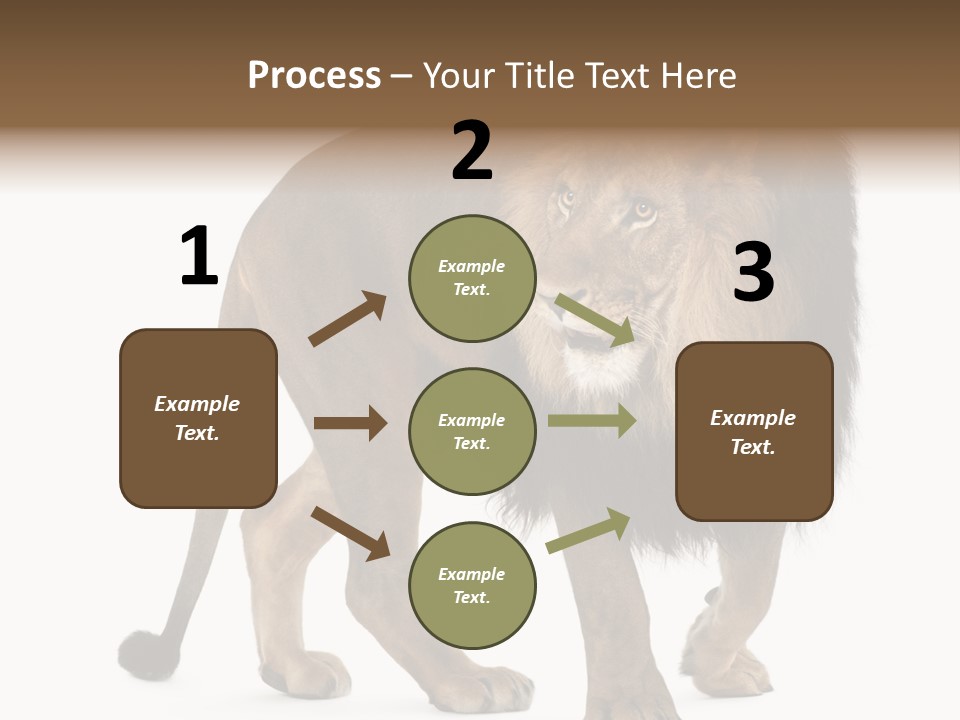 Animal Indoors One Animal PowerPoint Template