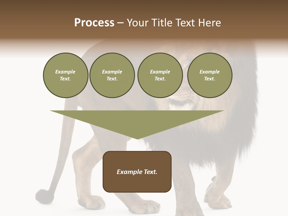 Animal Indoors One Animal PowerPoint Template