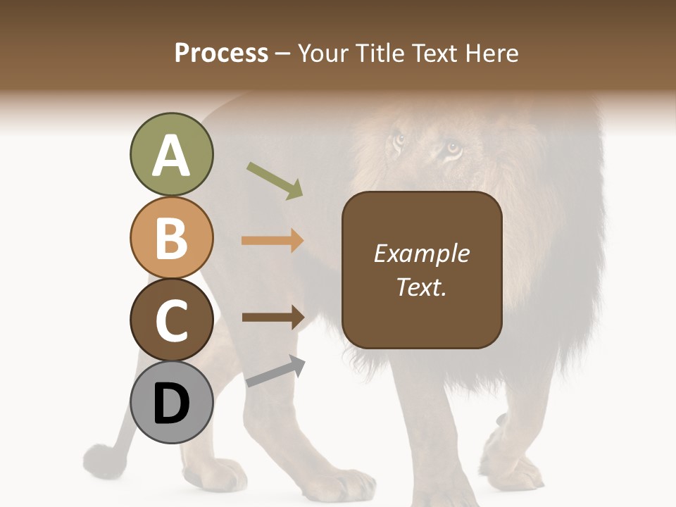 Animal Indoors One Animal PowerPoint Template