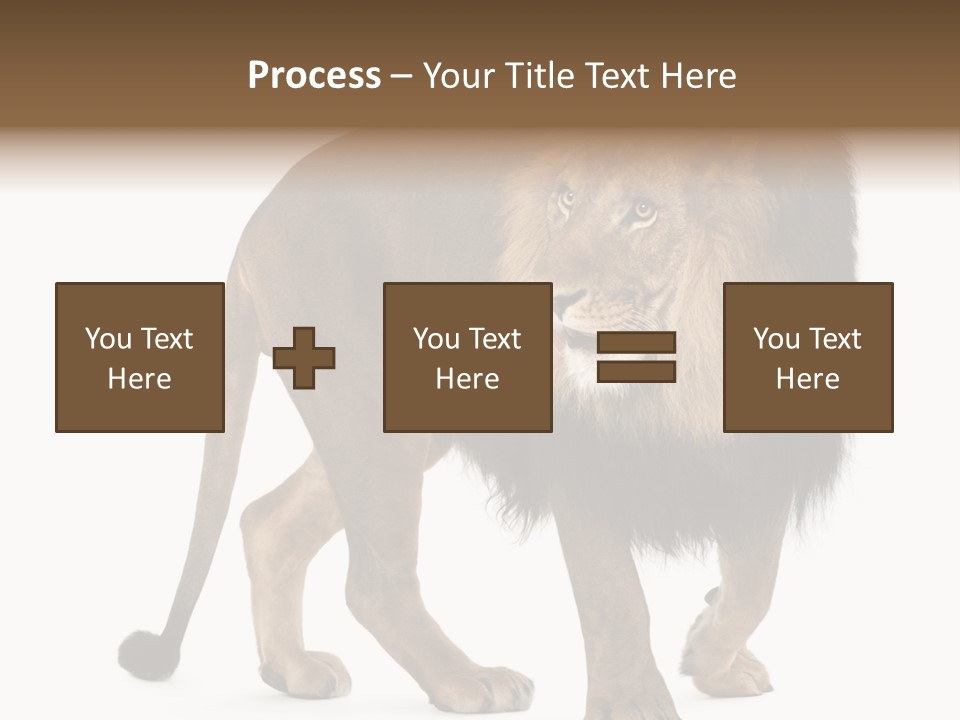 Animal Indoors One Animal PowerPoint Template