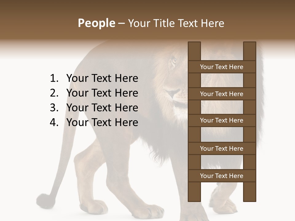 Animal Indoors One Animal PowerPoint Template