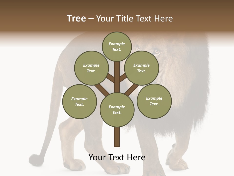 Animal Indoors One Animal PowerPoint Template