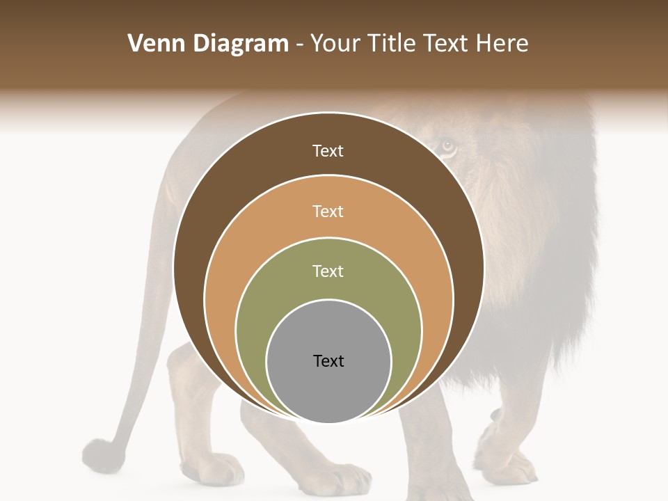 Animal Indoors One Animal PowerPoint Template