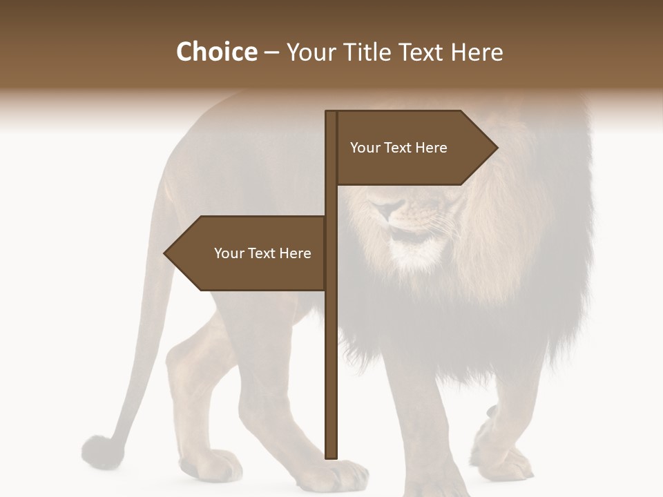 Animal Indoors One Animal PowerPoint Template