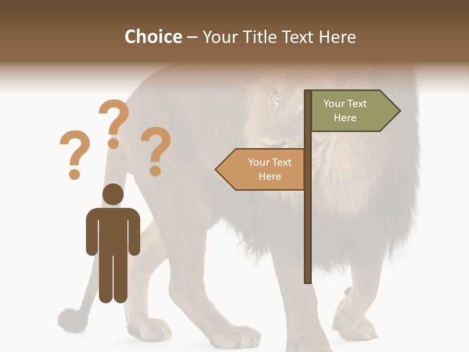 Animal Indoors One Animal PowerPoint Template