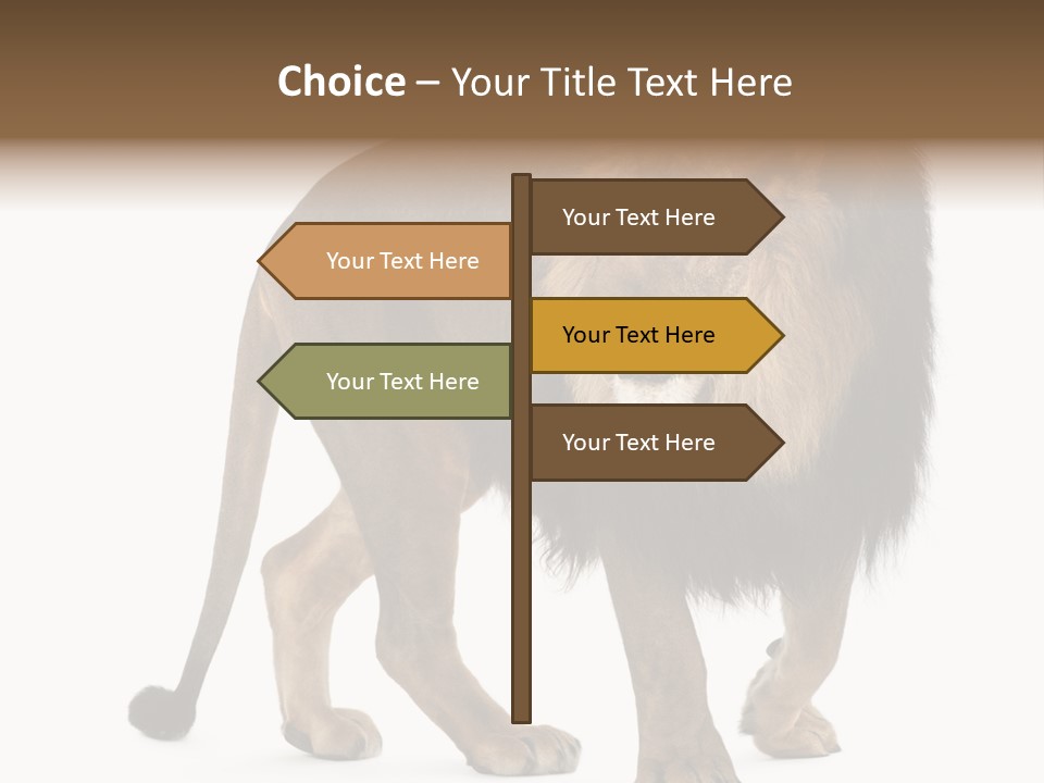 Animal Indoors One Animal PowerPoint Template