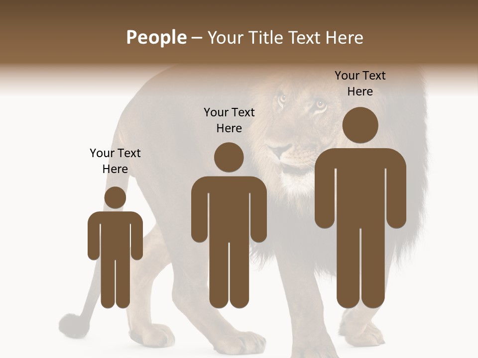 Animal Indoors One Animal PowerPoint Template