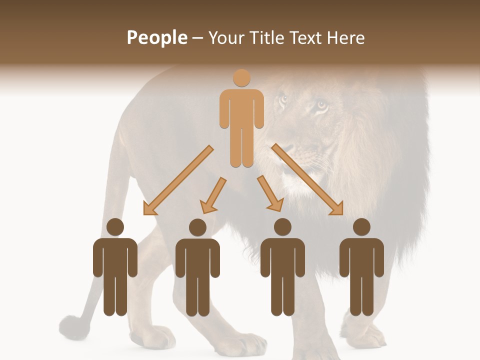 Animal Indoors One Animal PowerPoint Template