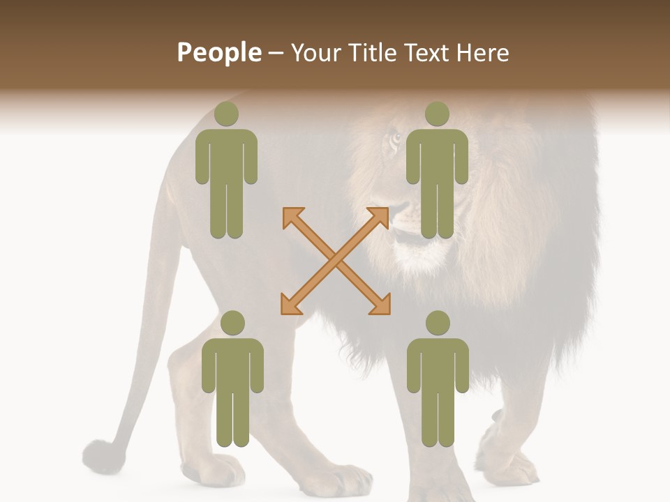 Animal Indoors One Animal PowerPoint Template