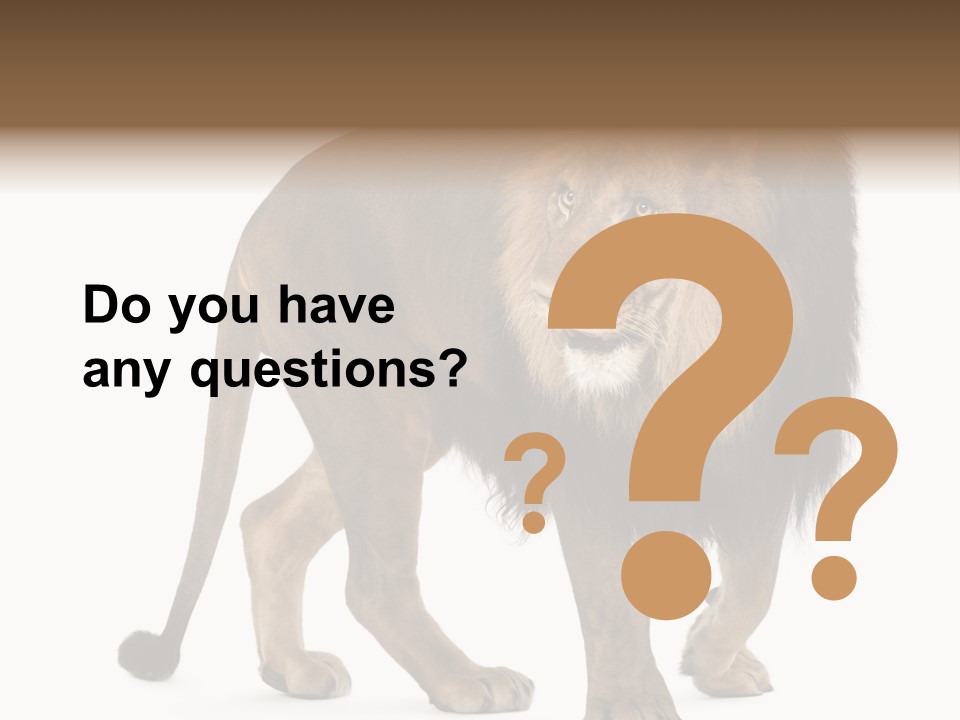 Animal Indoors One Animal PowerPoint Template