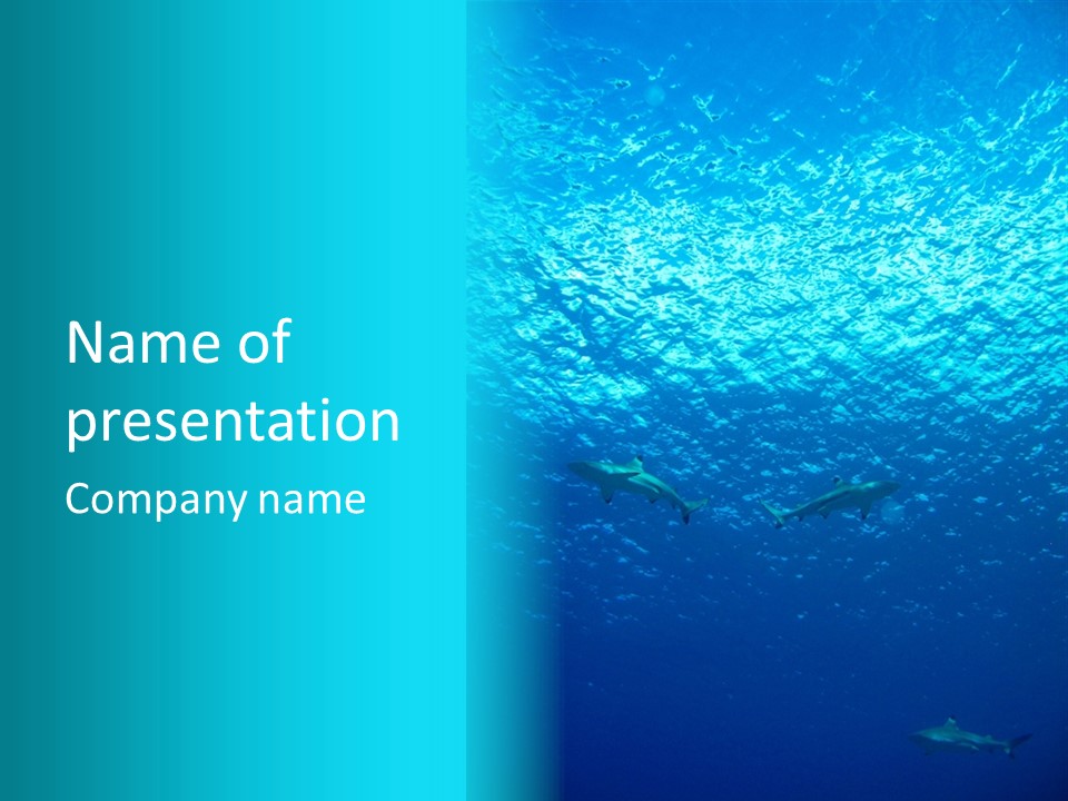 Tiempo Libre Agua Marino PowerPoint Template