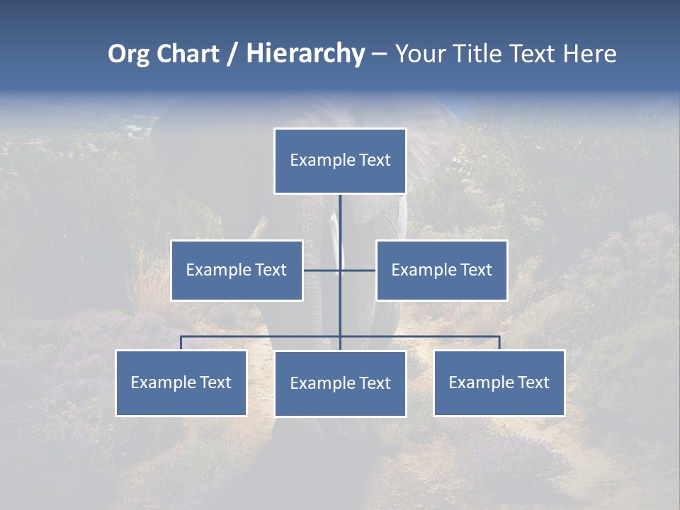 Surreal Shadow Unreal PowerPoint Template