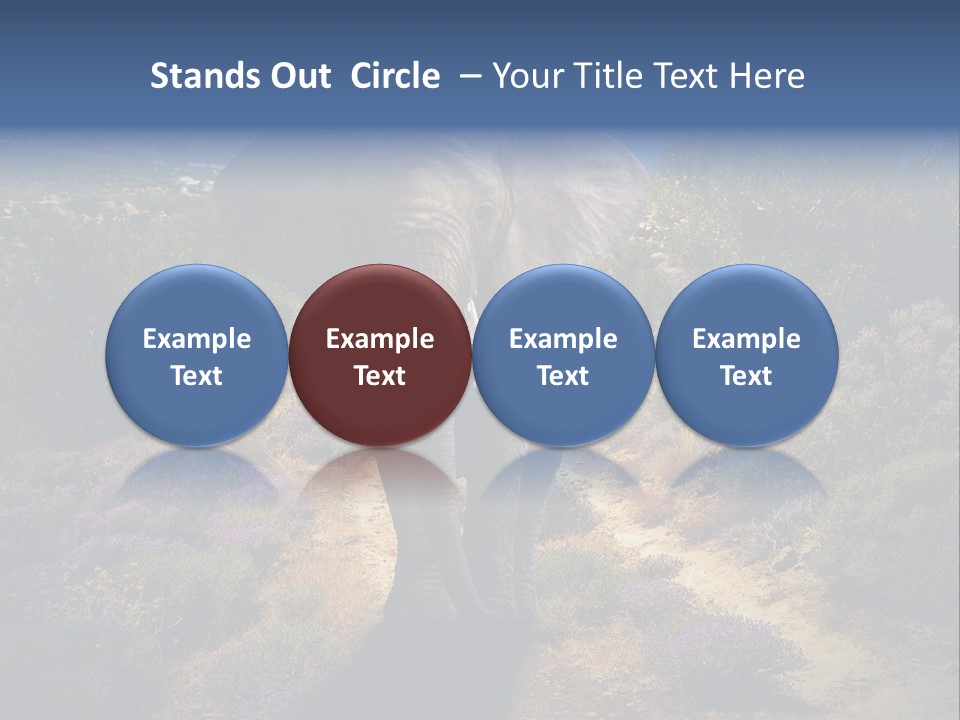 Surreal Shadow Unreal PowerPoint Template