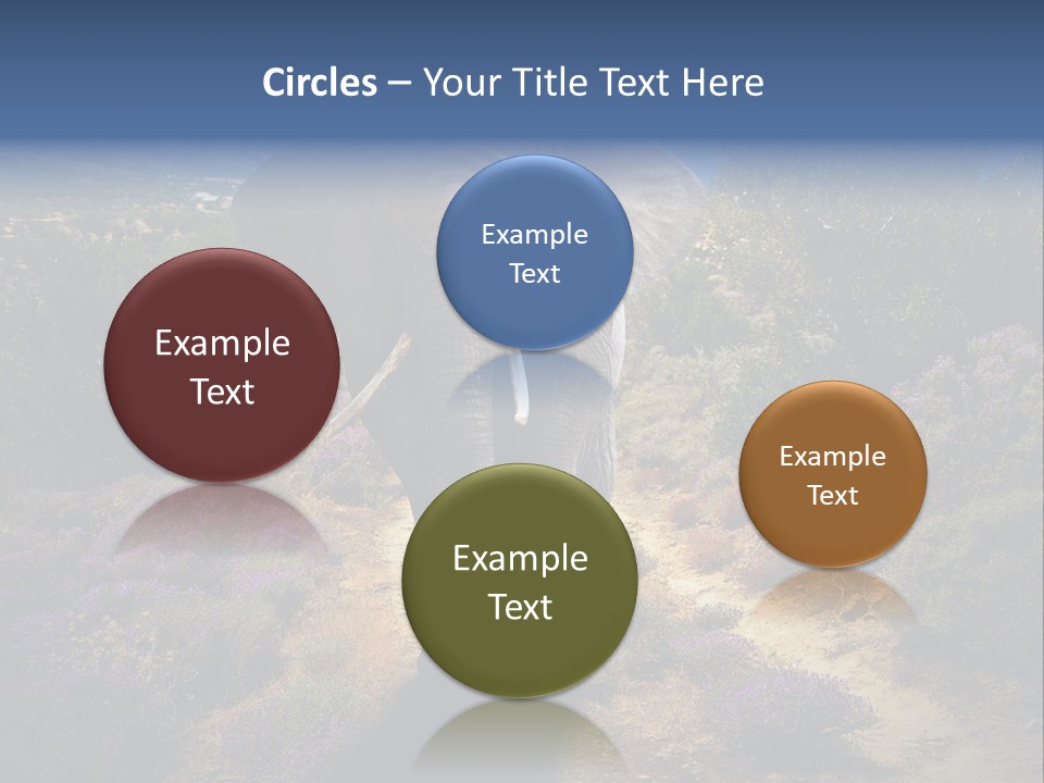 Surreal Shadow Unreal PowerPoint Template