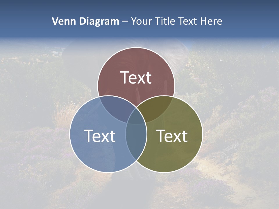 Surreal Shadow Unreal PowerPoint Template