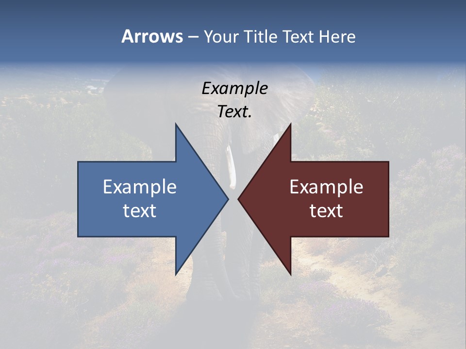 Surreal Shadow Unreal PowerPoint Template