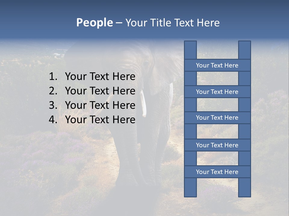 Surreal Shadow Unreal PowerPoint Template