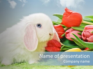 Birthday Flora April PowerPoint Template