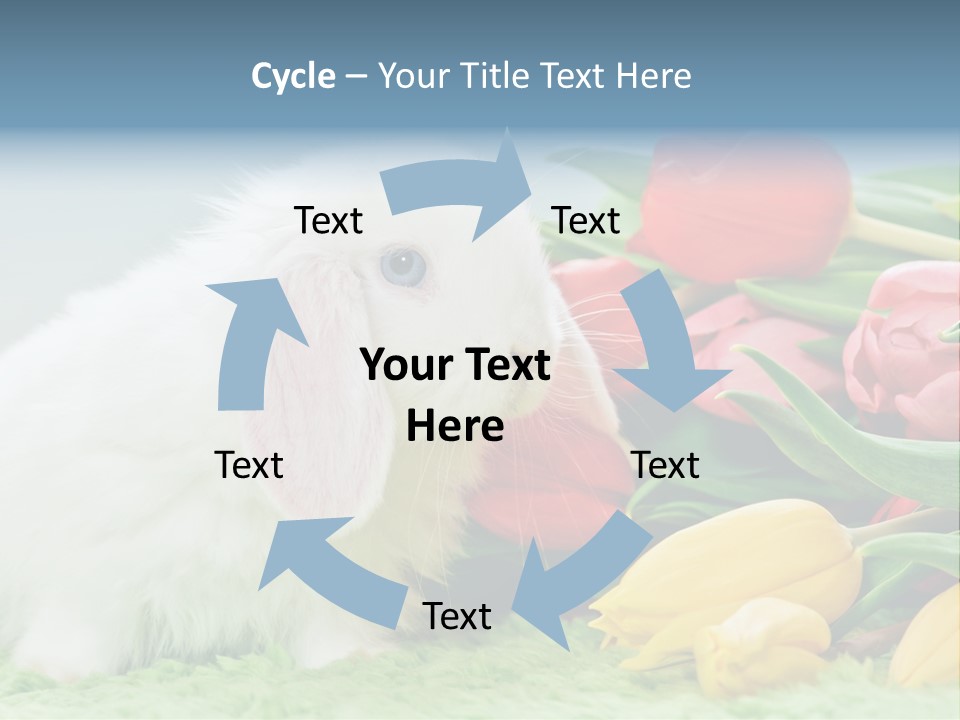 Birthday Flora April PowerPoint Template