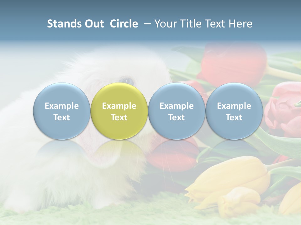 Birthday Flora April PowerPoint Template