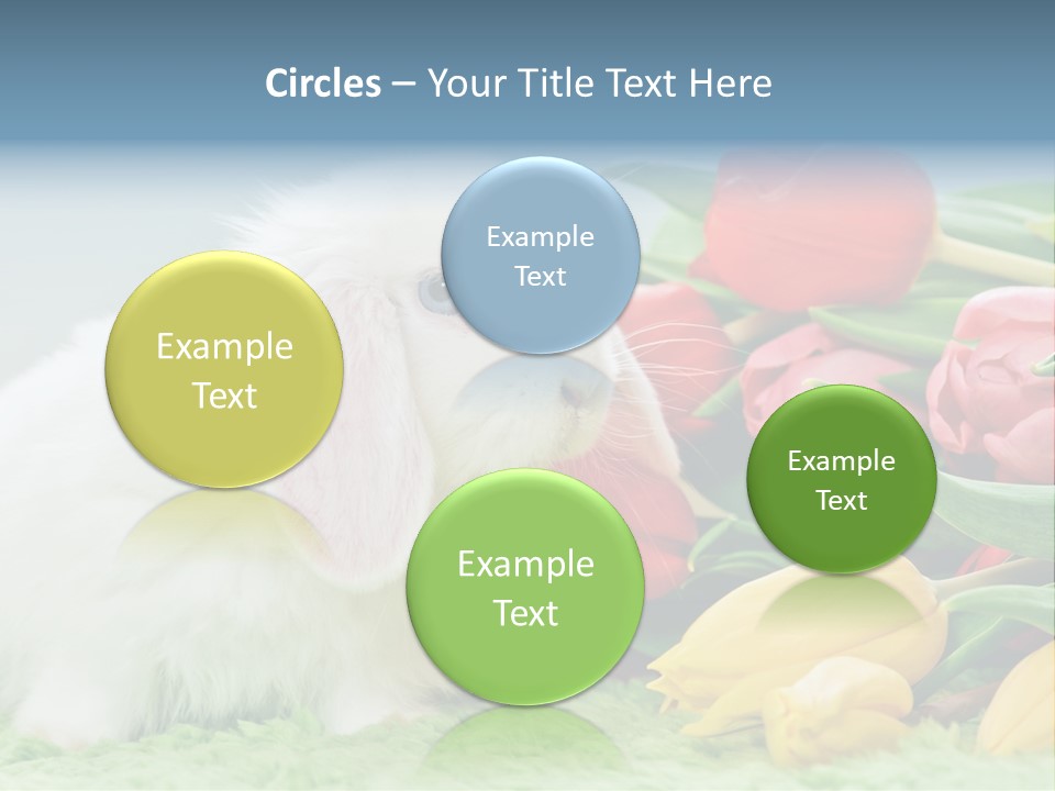 Birthday Flora April PowerPoint Template