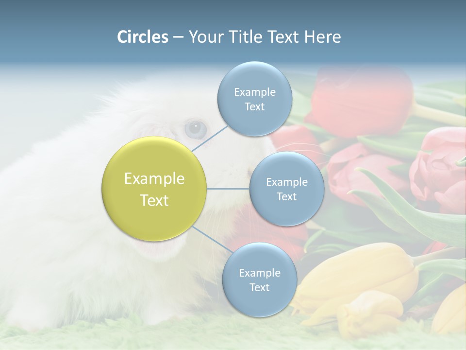 Birthday Flora April PowerPoint Template