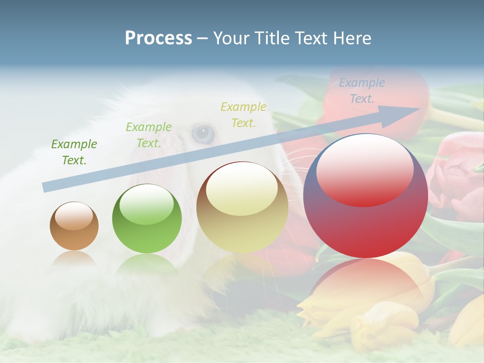 Birthday Flora April PowerPoint Template