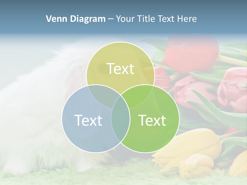 Birthday Flora April PowerPoint Template