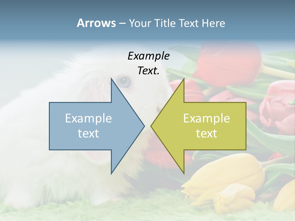 Birthday Flora April PowerPoint Template