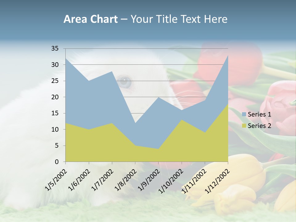 Birthday Flora April PowerPoint Template