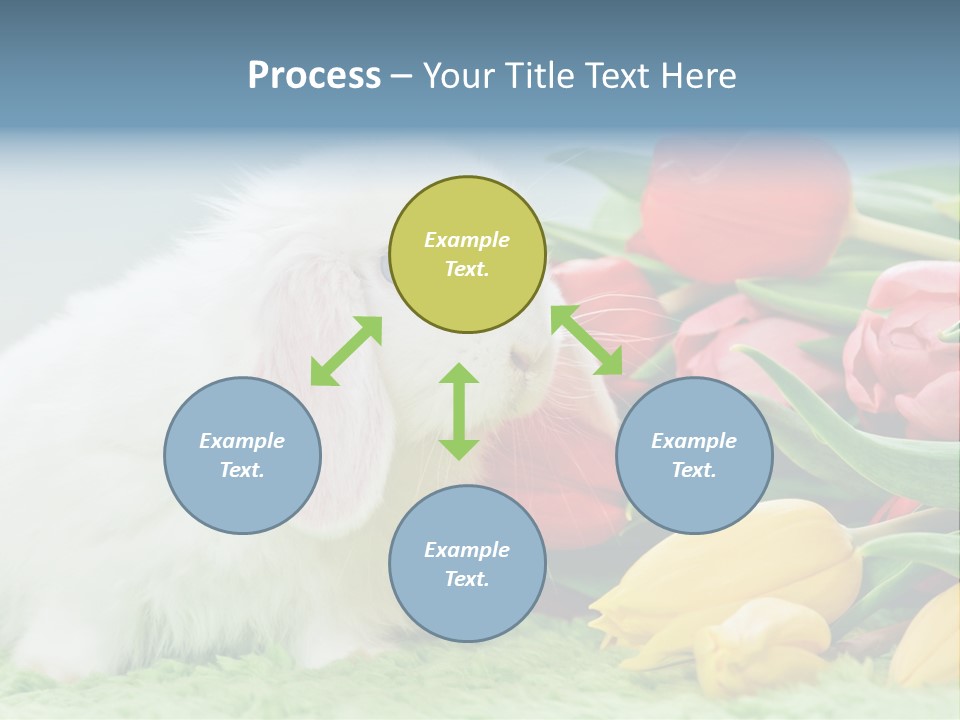 Birthday Flora April PowerPoint Template