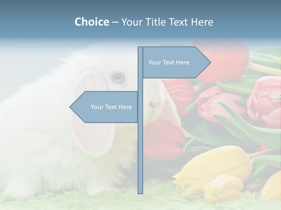 Birthday Flora April PowerPoint Template