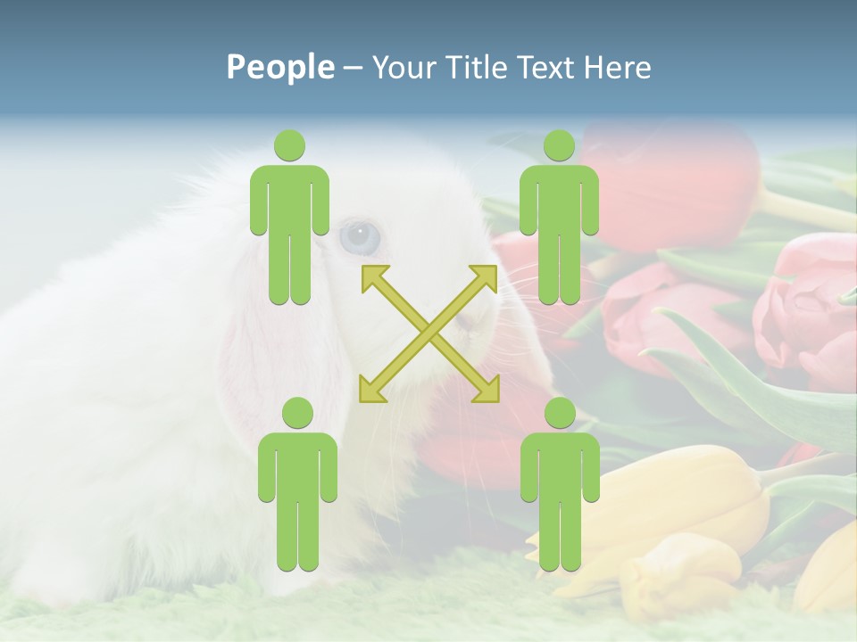 Birthday Flora April PowerPoint Template