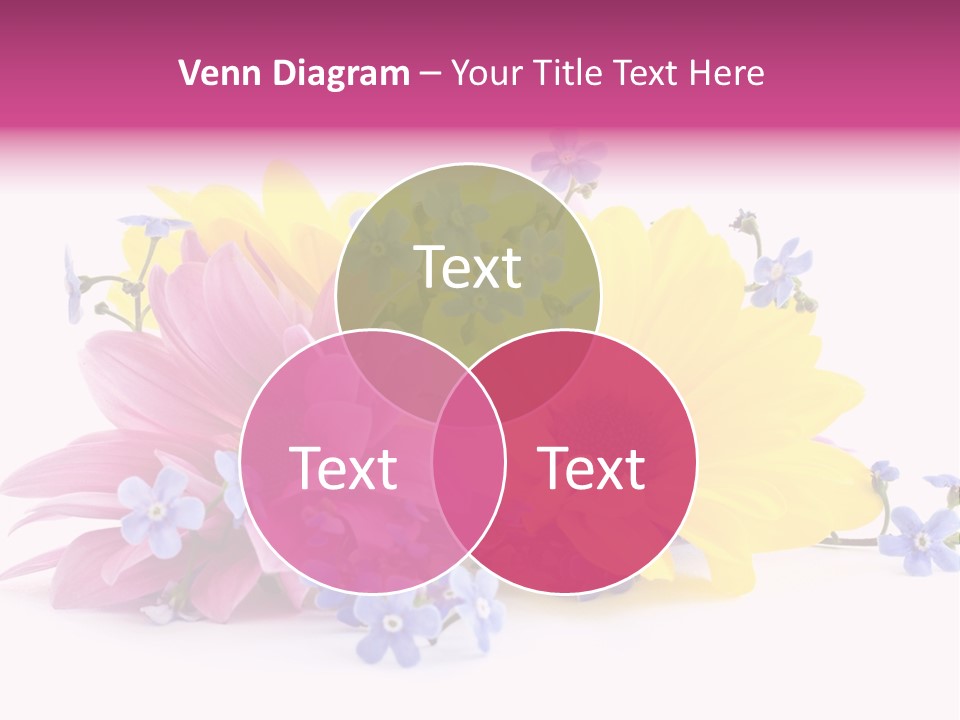 Aroma Love Nobody PowerPoint Template