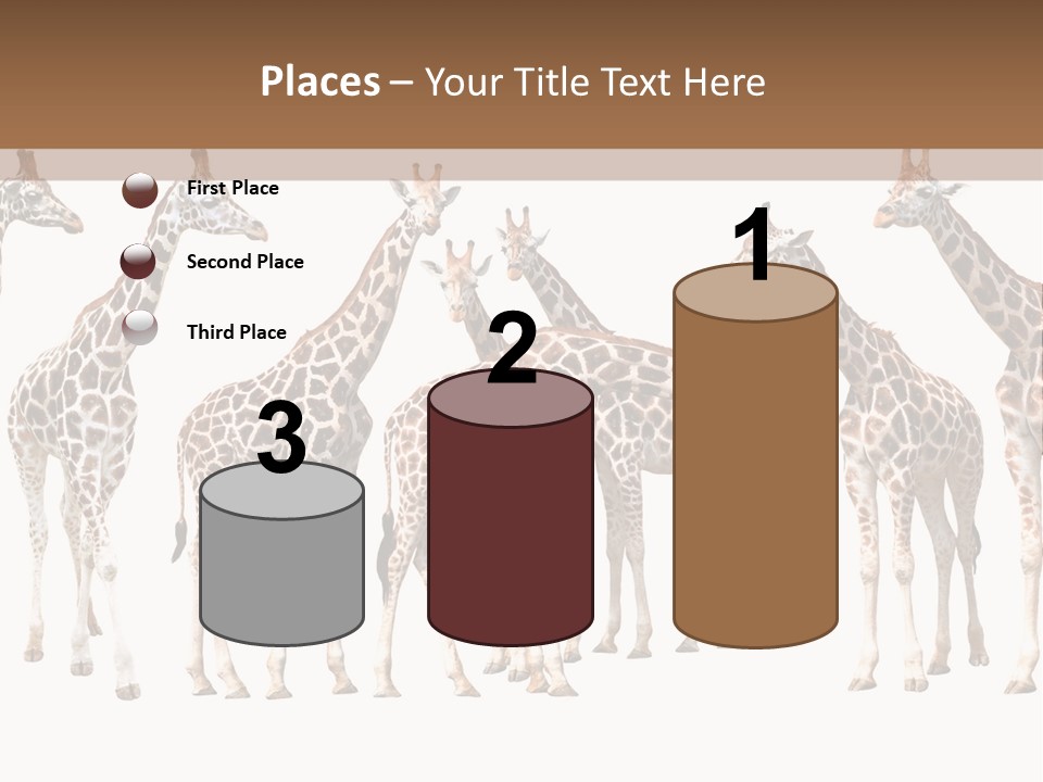 Mammal Cute One PowerPoint Template