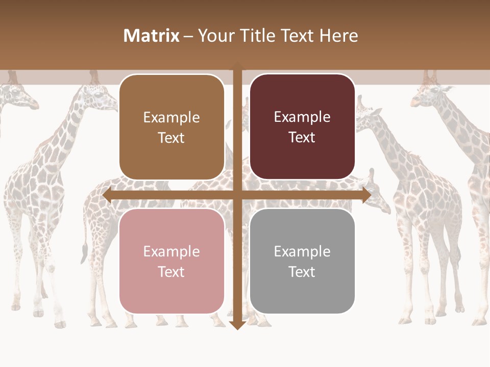 Mammal Cute One PowerPoint Template