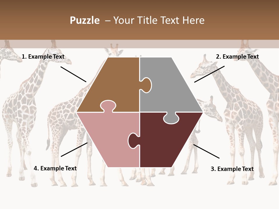 Mammal Cute One PowerPoint Template