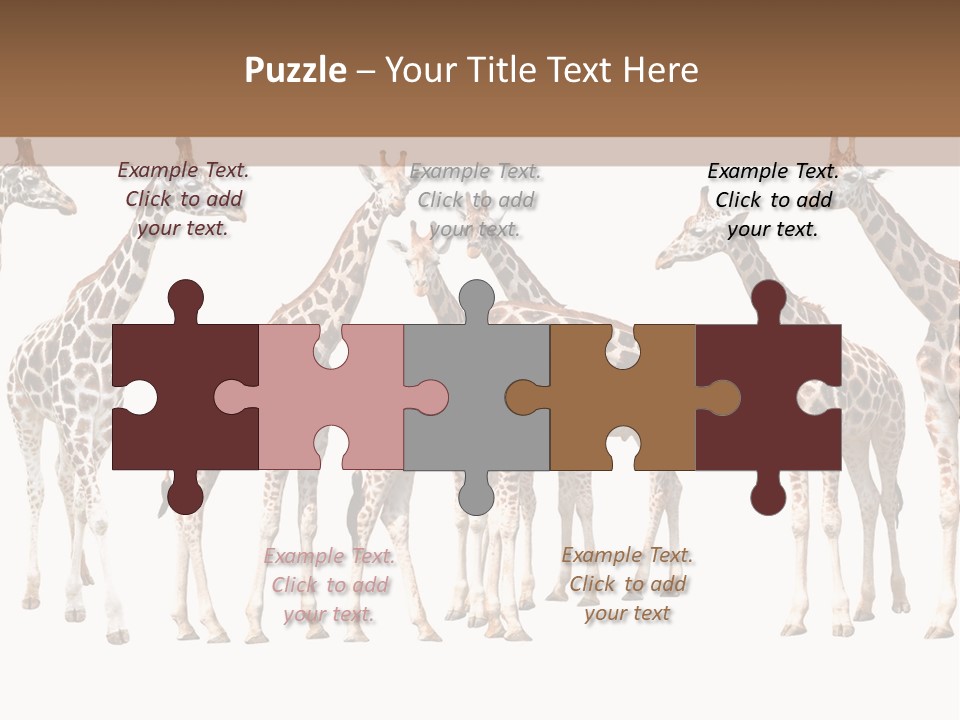 Mammal Cute One PowerPoint Template