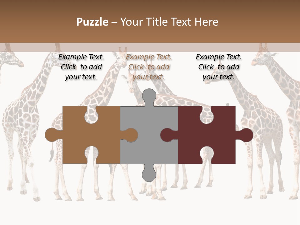 Mammal Cute One PowerPoint Template