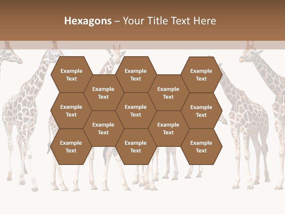 Mammal Cute One PowerPoint Template