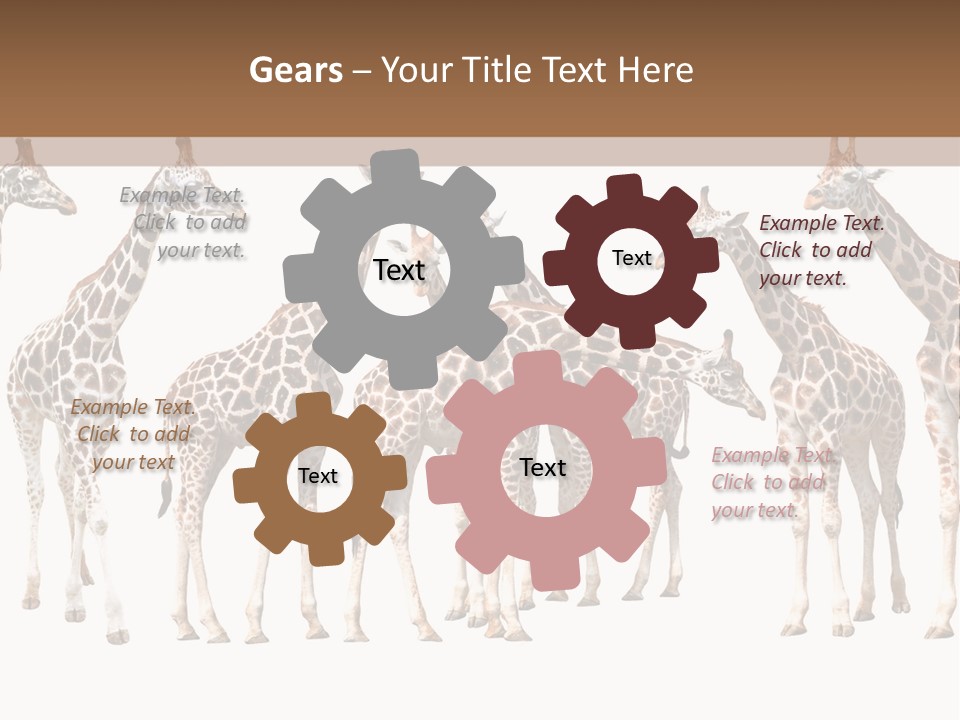 Mammal Cute One PowerPoint Template