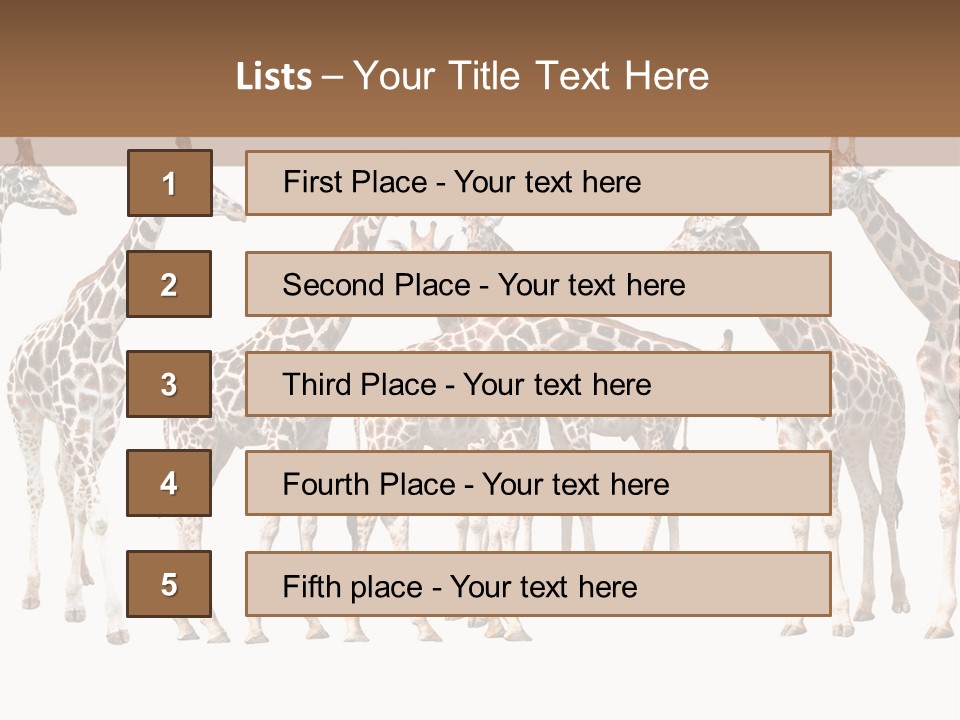 Mammal Cute One PowerPoint Template