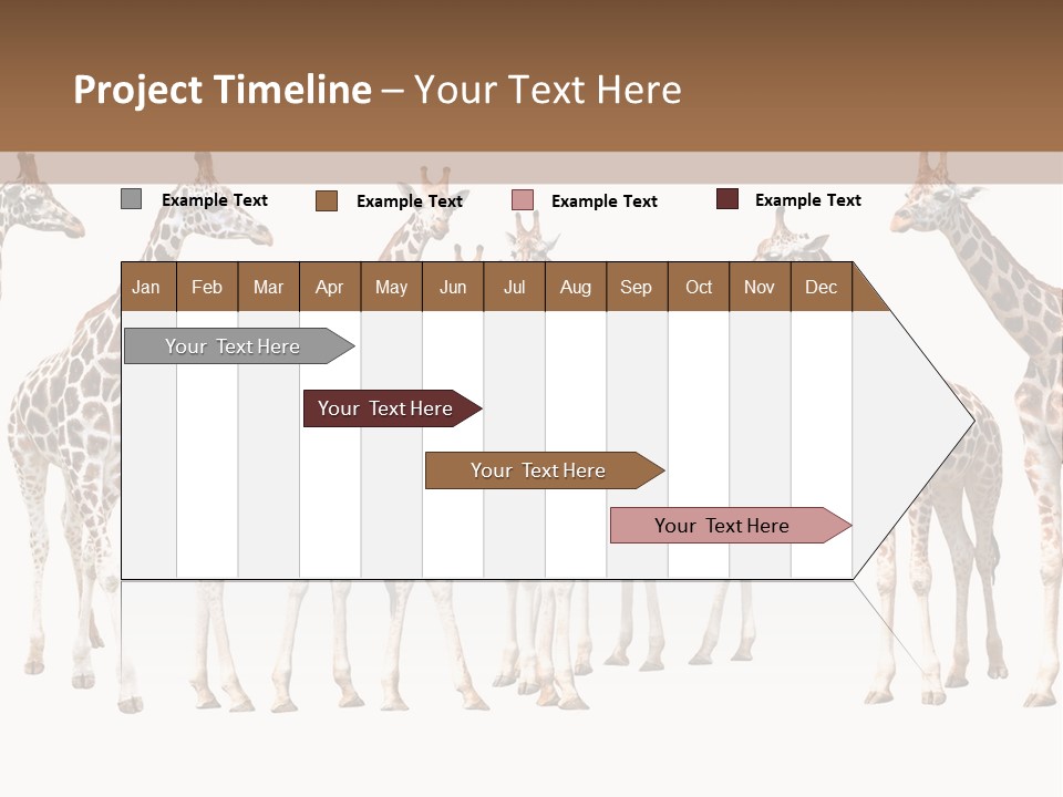 Mammal Cute One PowerPoint Template